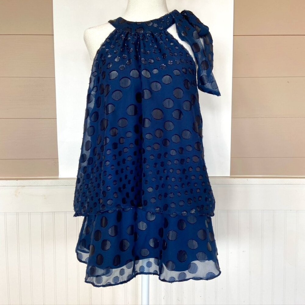 Blue Polka Dot Burn Out velvet Blouse Sz L